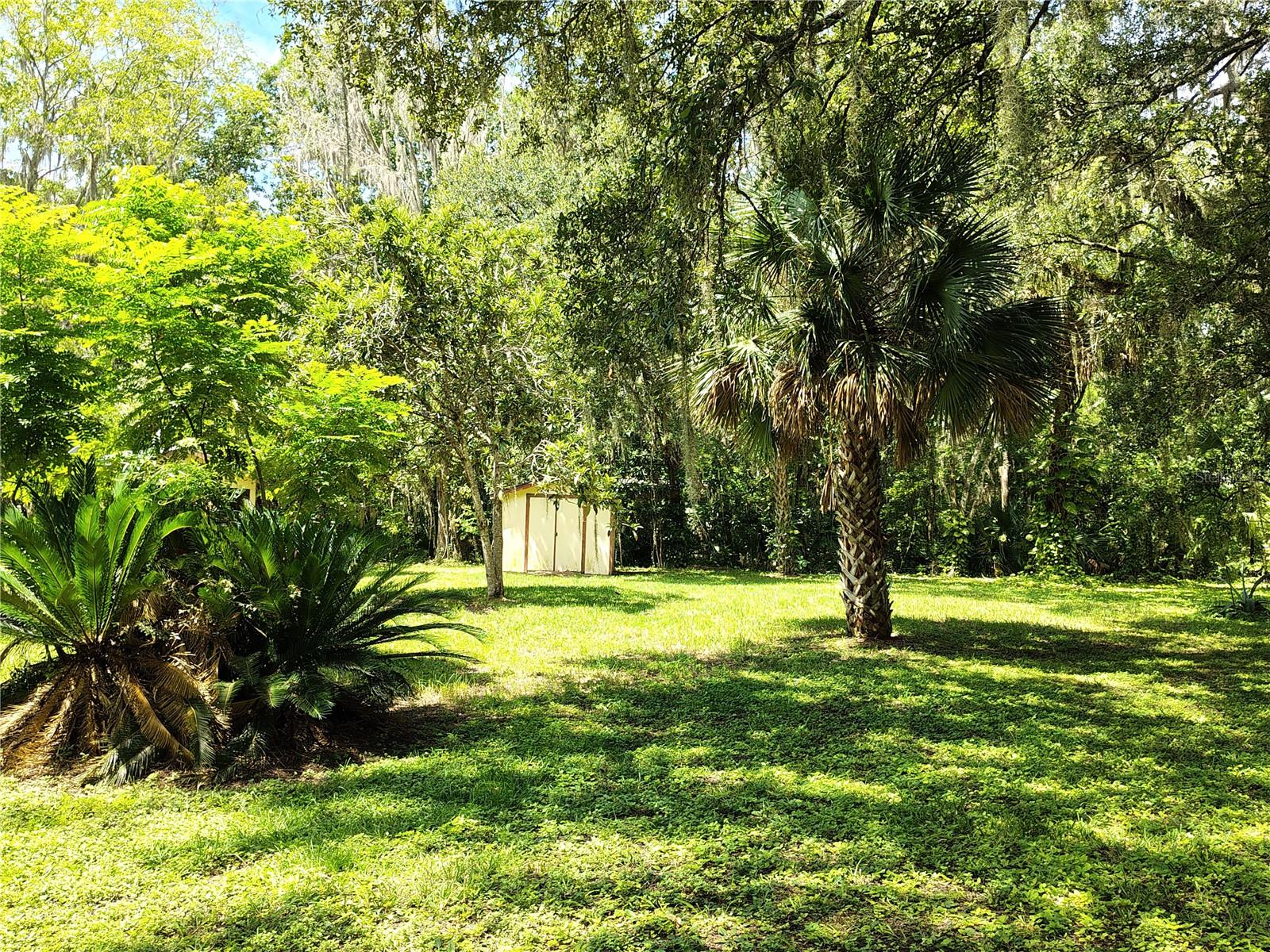 Image 4 of 9 For 2506 Cr 401a