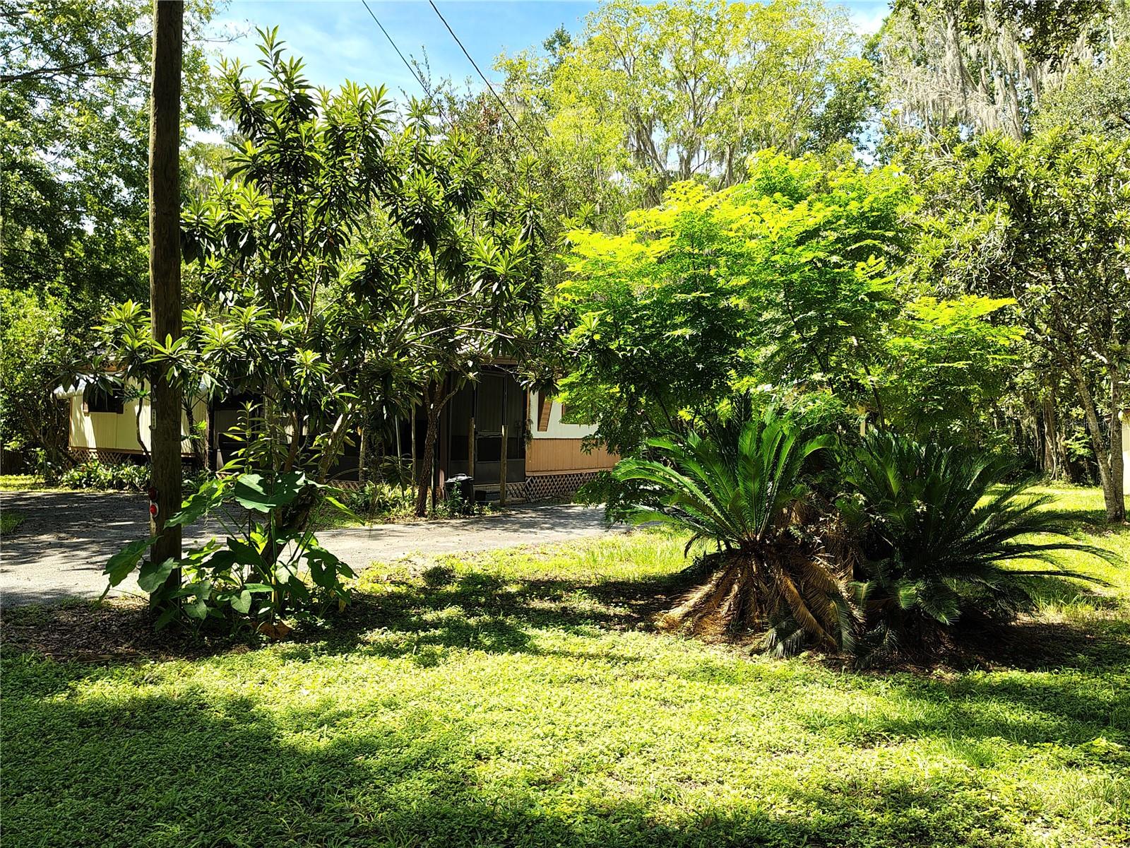 Image 5 of 9 For 2506 Cr 401a