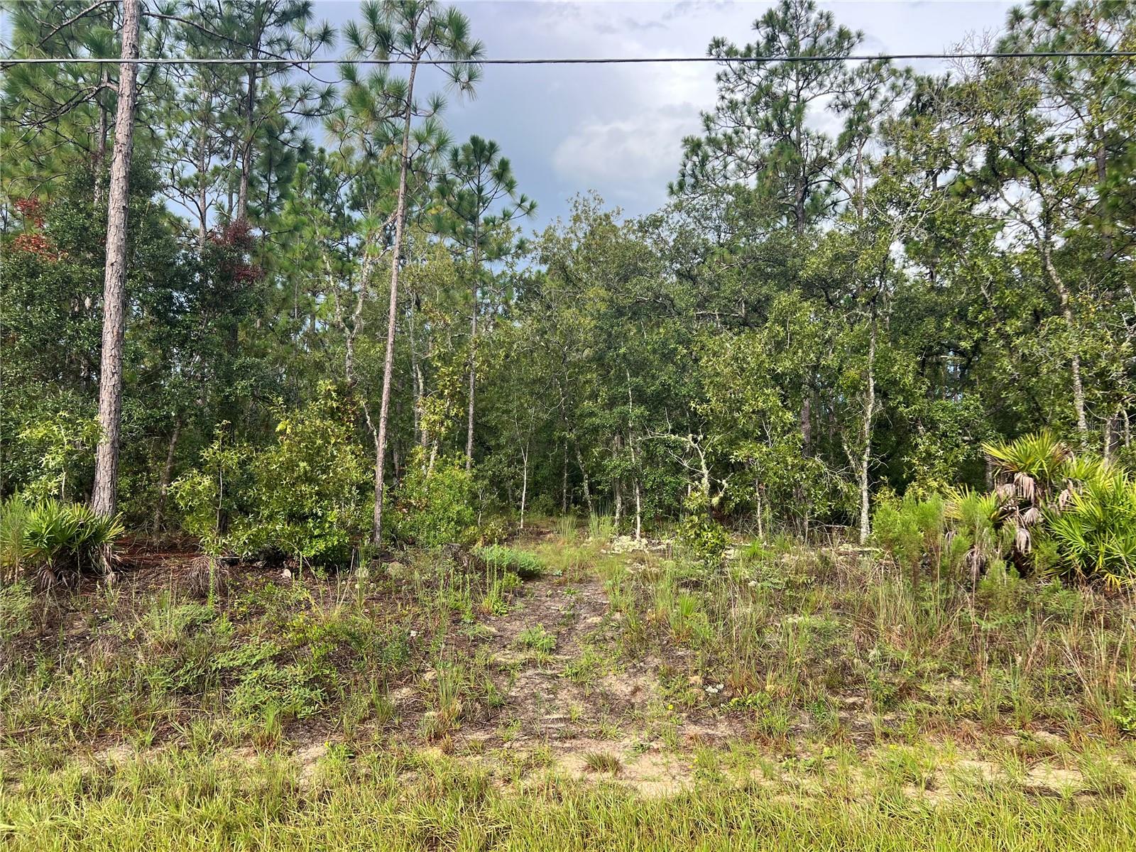 Details for 7180 Henderson Way, DUNNELLON, FL 34434