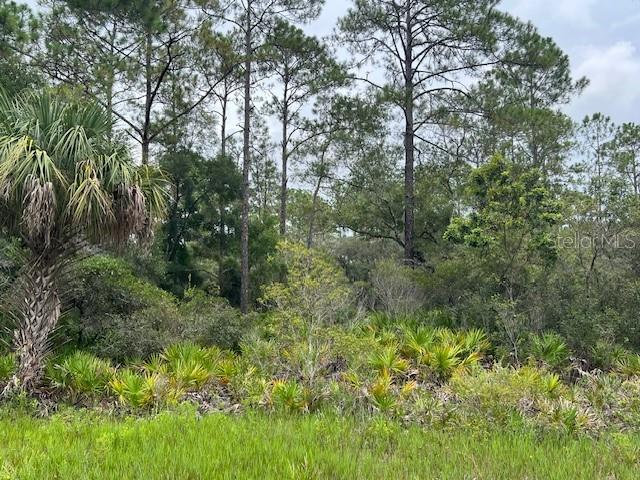 Image 4 of 6 For 11297 Cornflower Dr