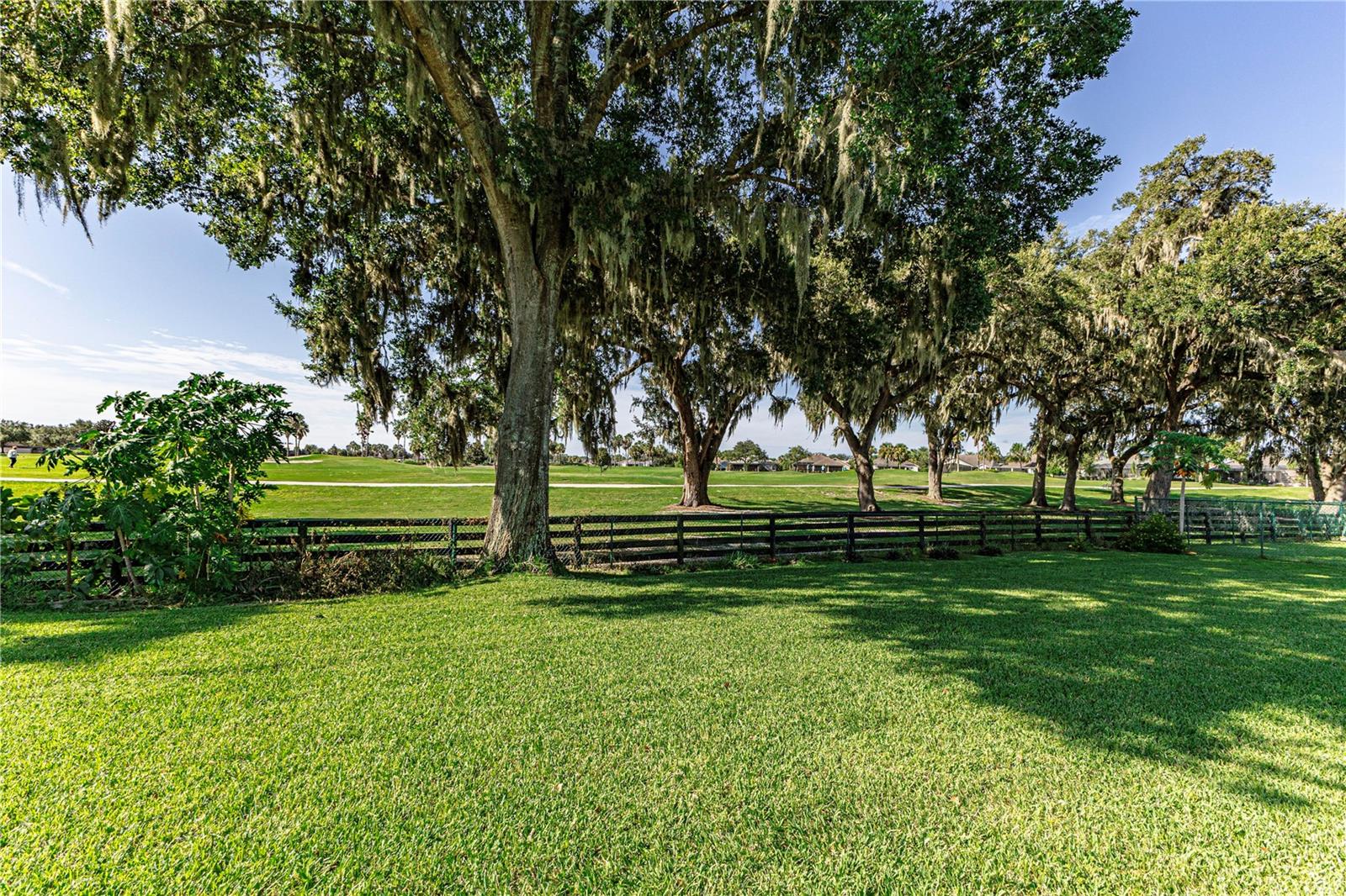 Image 50 of 55 For 5407 County Road 125