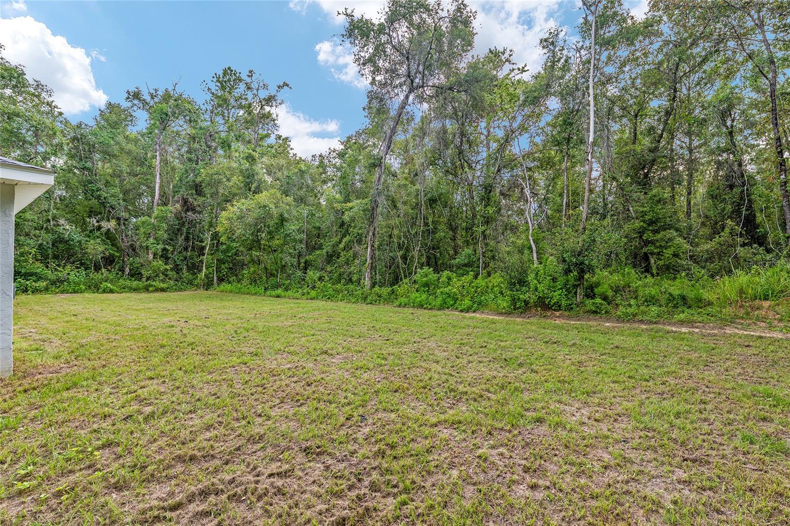 Image 42 of 45 For 595 Byrd Loop