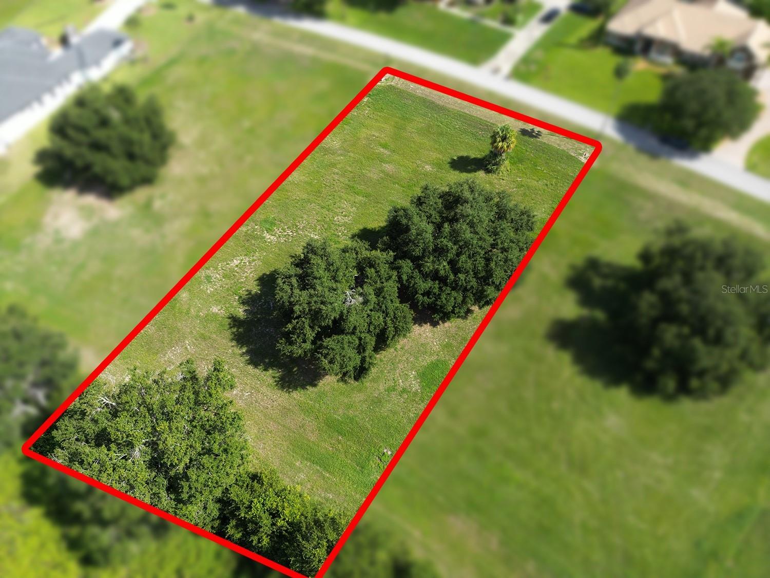Image 7 of 12 For Royal Palm Drive 15