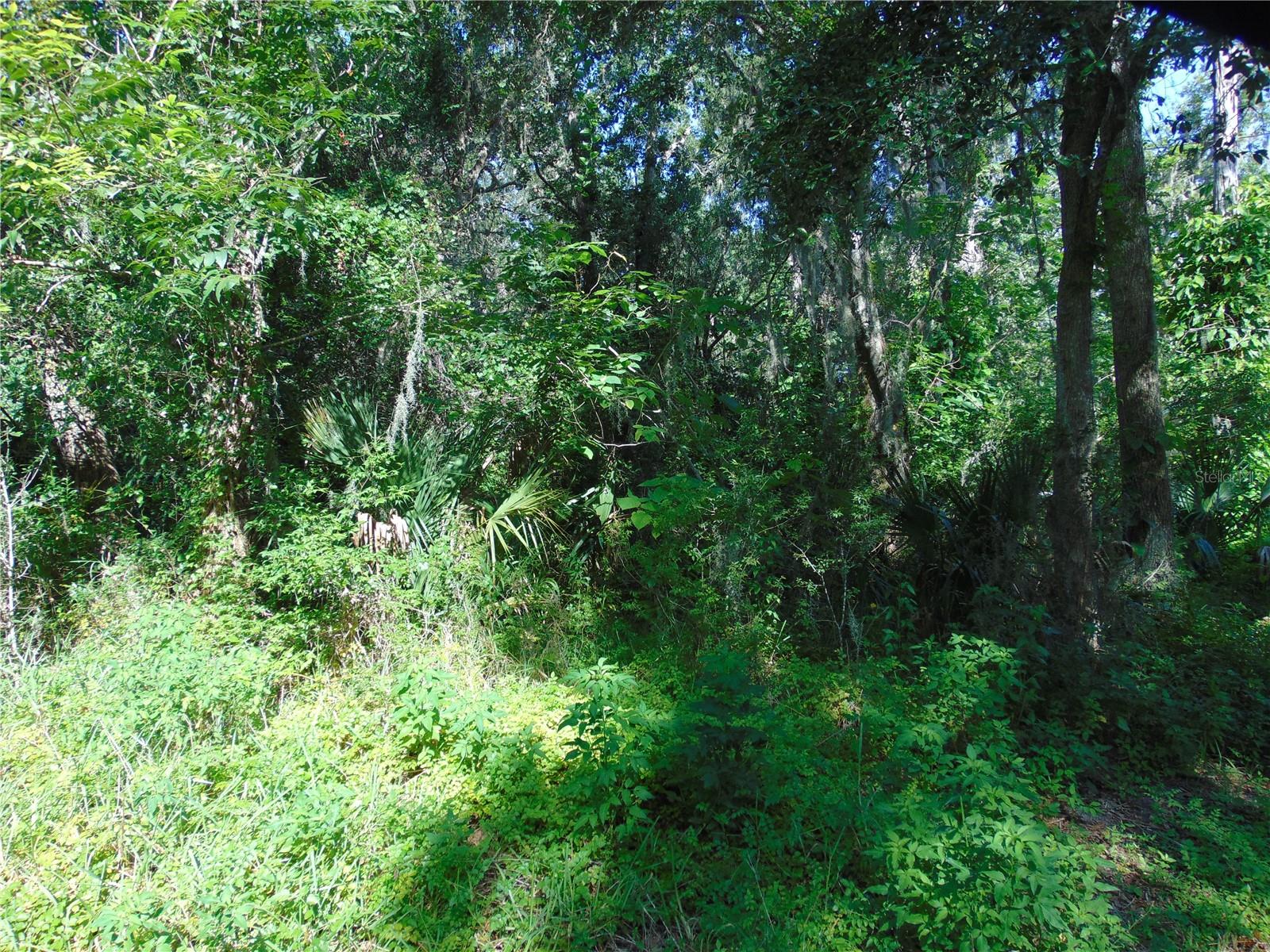 Listing Details for 4766 125th Road, WEBSTER, FL 33597