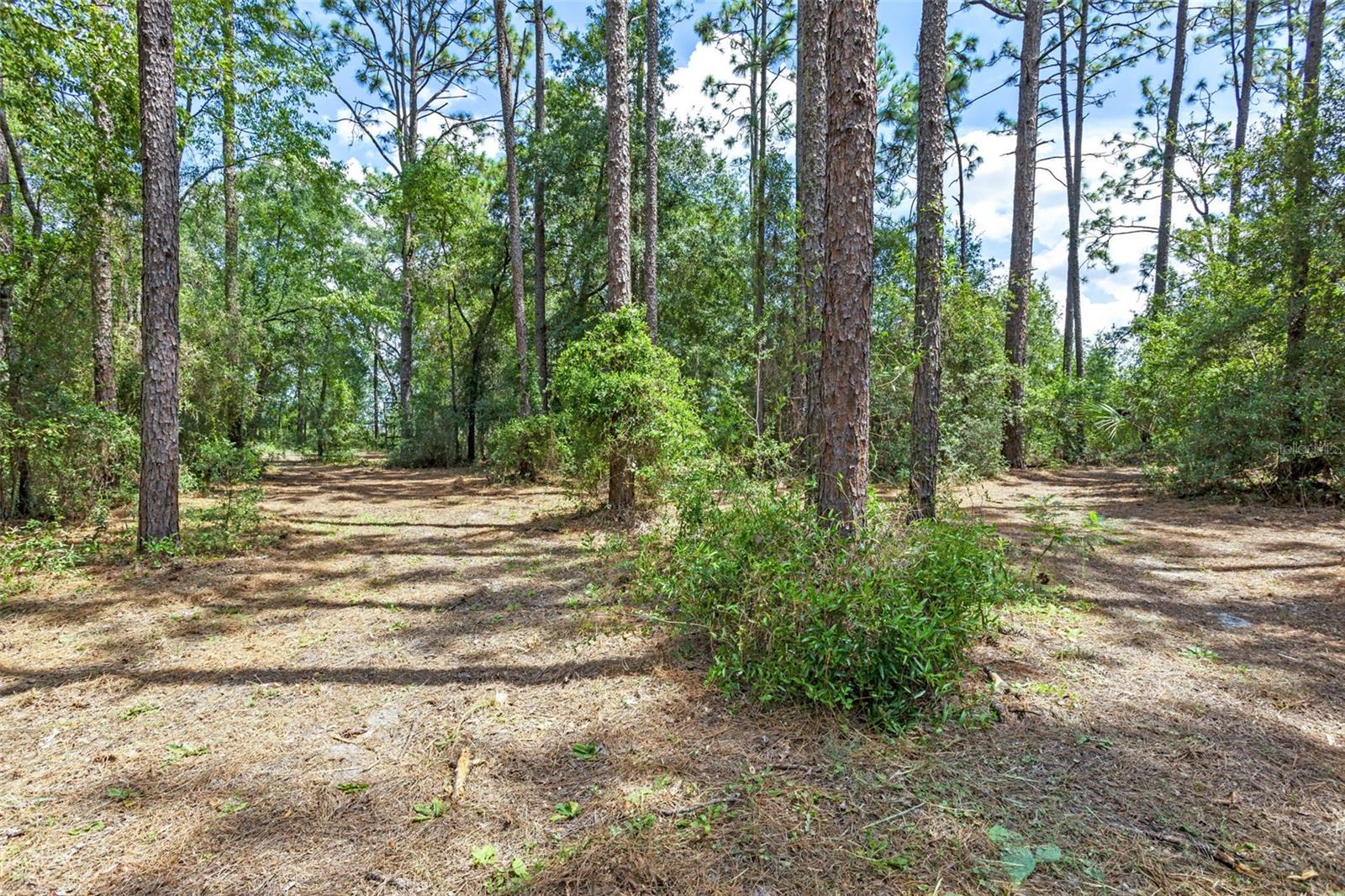Image 33 of 60 For 1467 Cr 543a