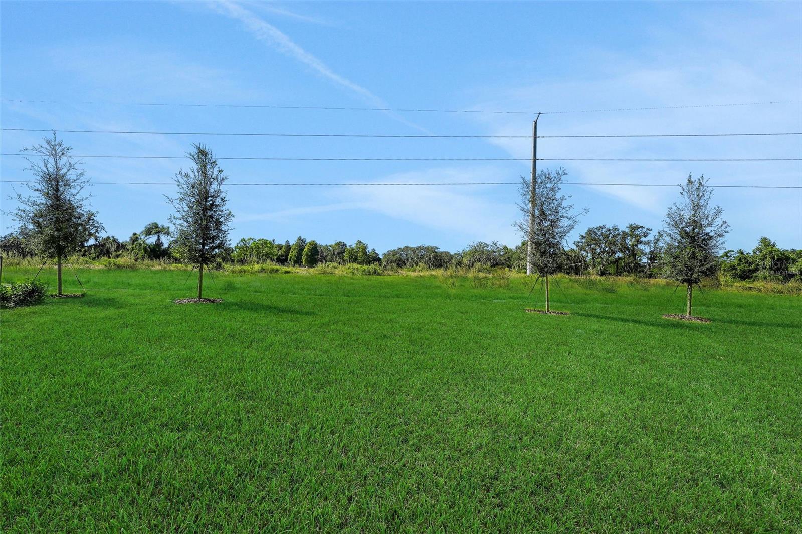 Image 5 of 44 For 256 Meredith Boulevard