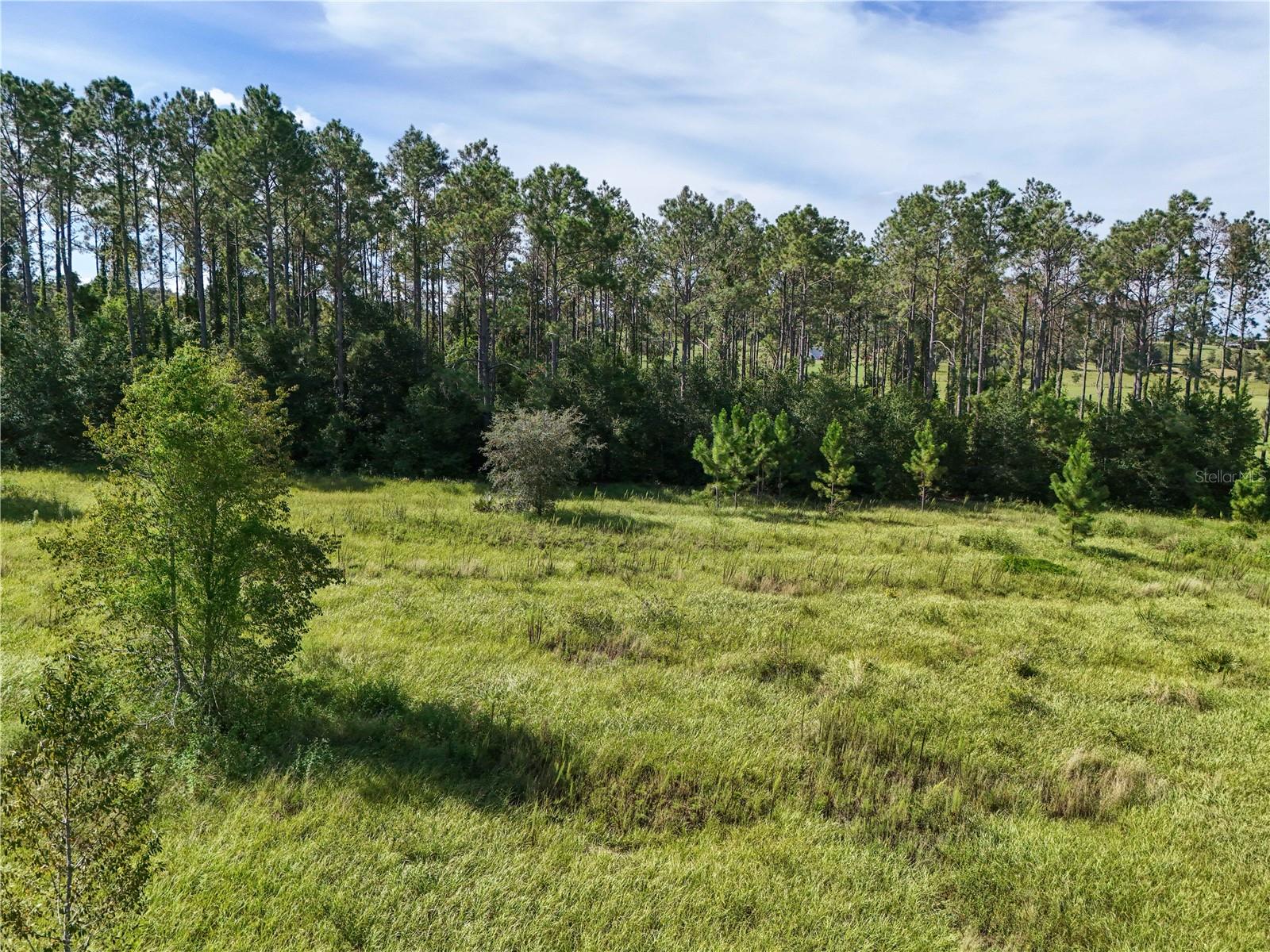 Image 14 of 27 For Sonoma Ridge Lane