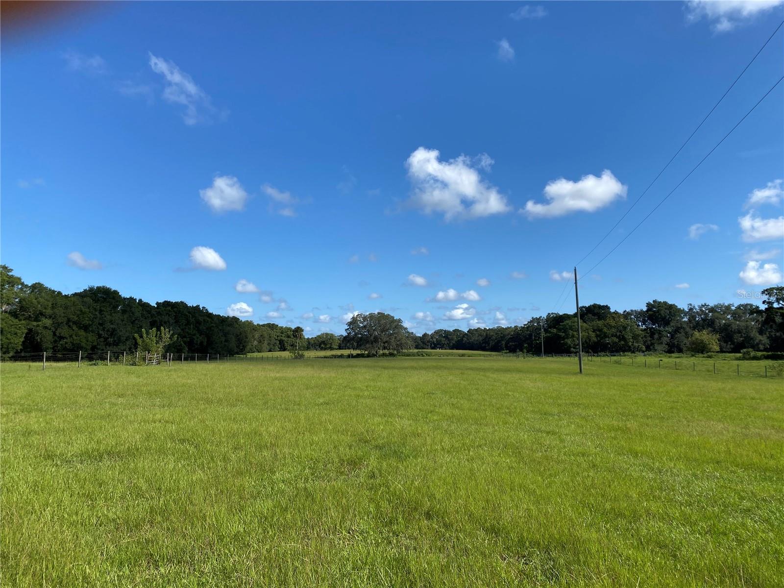 Details for 14280 80th Avenue, SUMMERFIELD, FL 34491