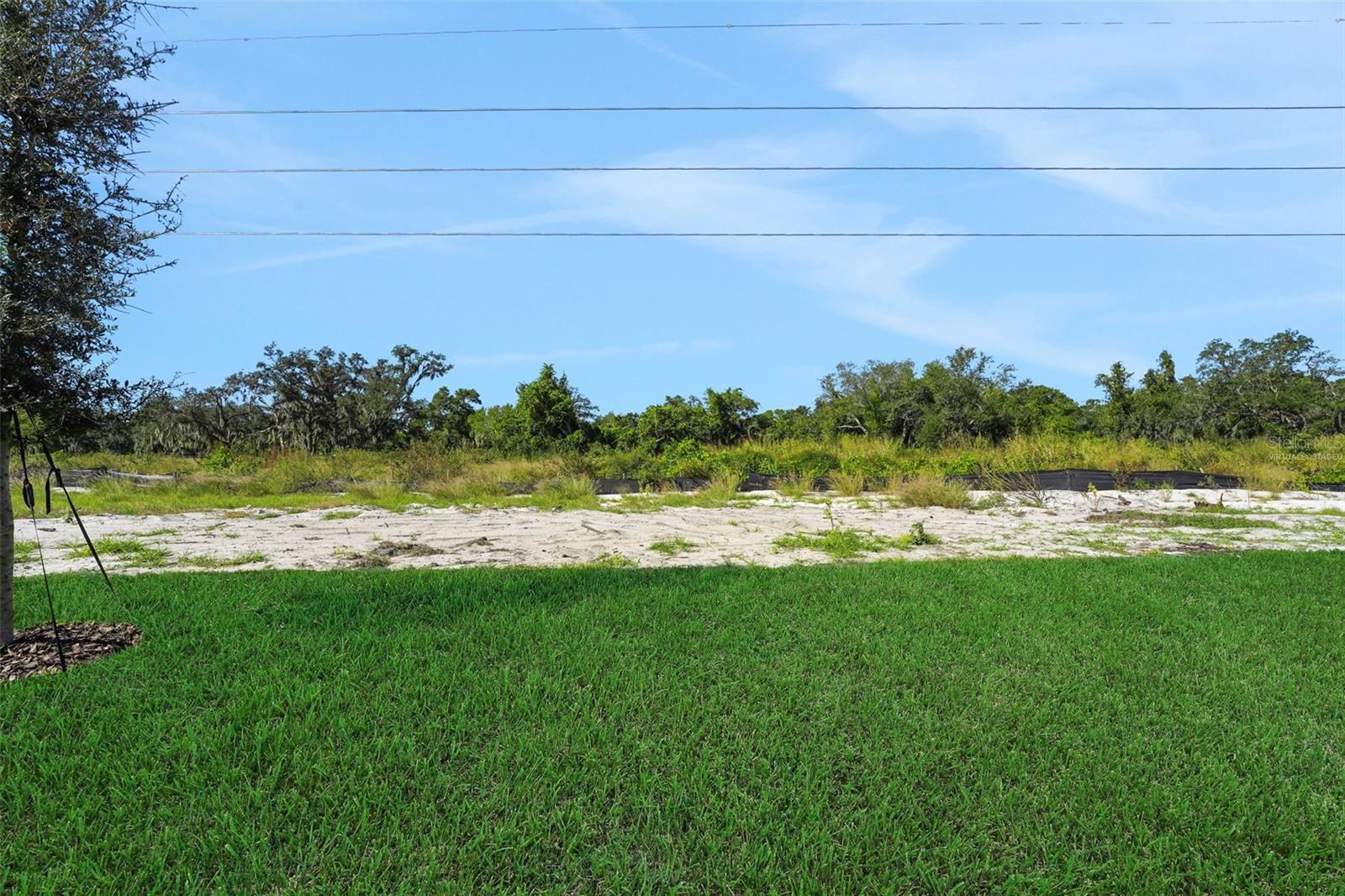 Image 36 of 37 For 240 Meredith Boulevard