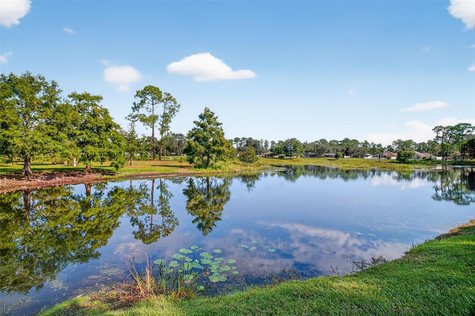 Image 27 of 32 For 11201 Fountain Lake Boulevard