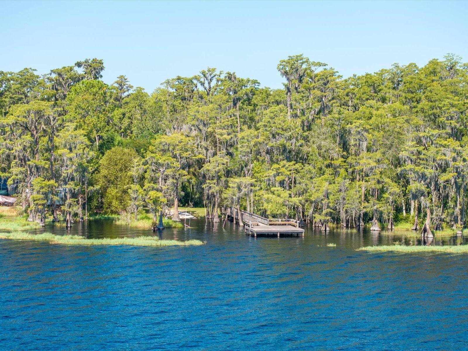 Image 45 of 55 For 11519 Grand Bay Boulevard