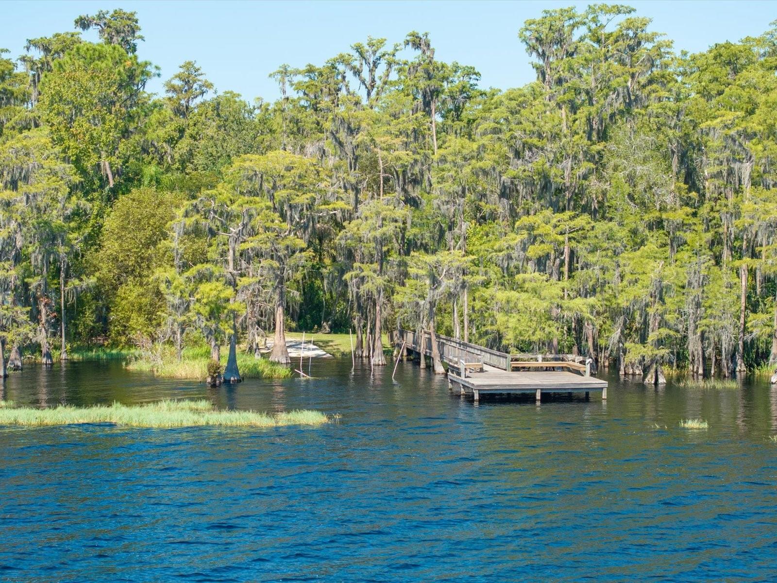 Image 48 of 55 For 11519 Grand Bay Boulevard