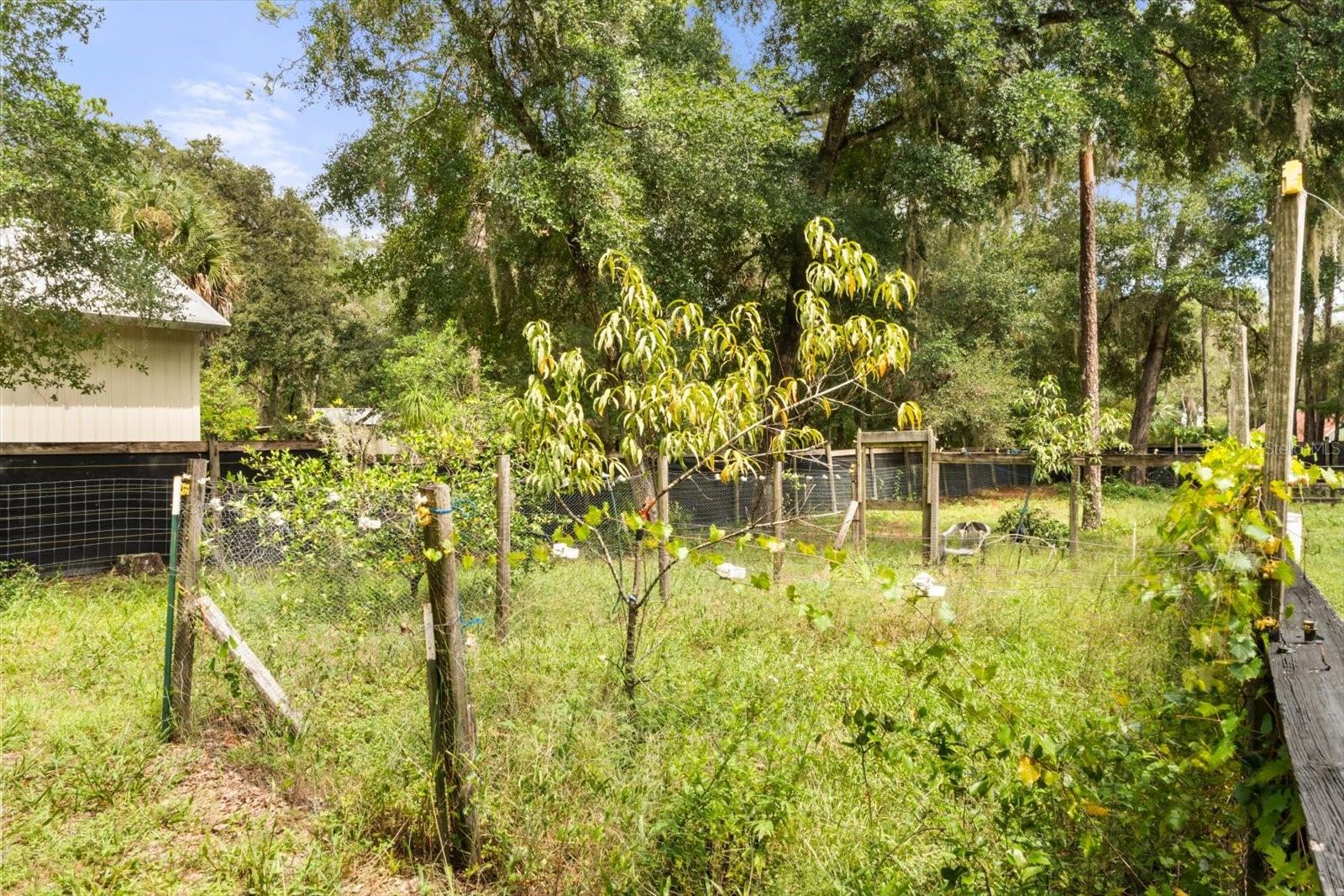 Image 33 of 40 For 19315 Dorr Road
