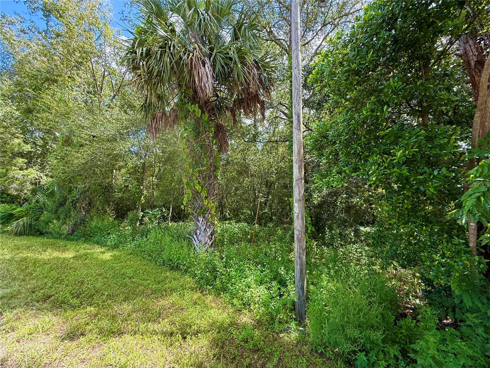 Image 9 of 16 For Lot 1 Palm Drive