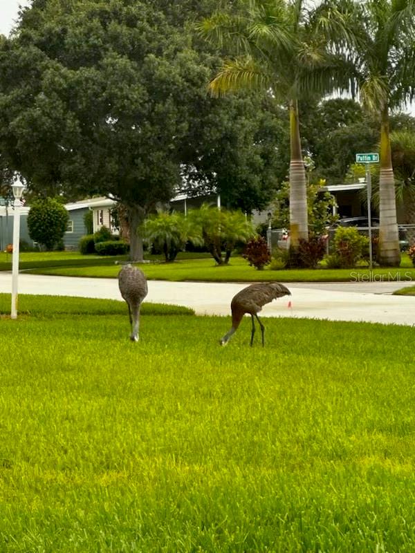 Image 2 of 26 For 527 Egret Circle