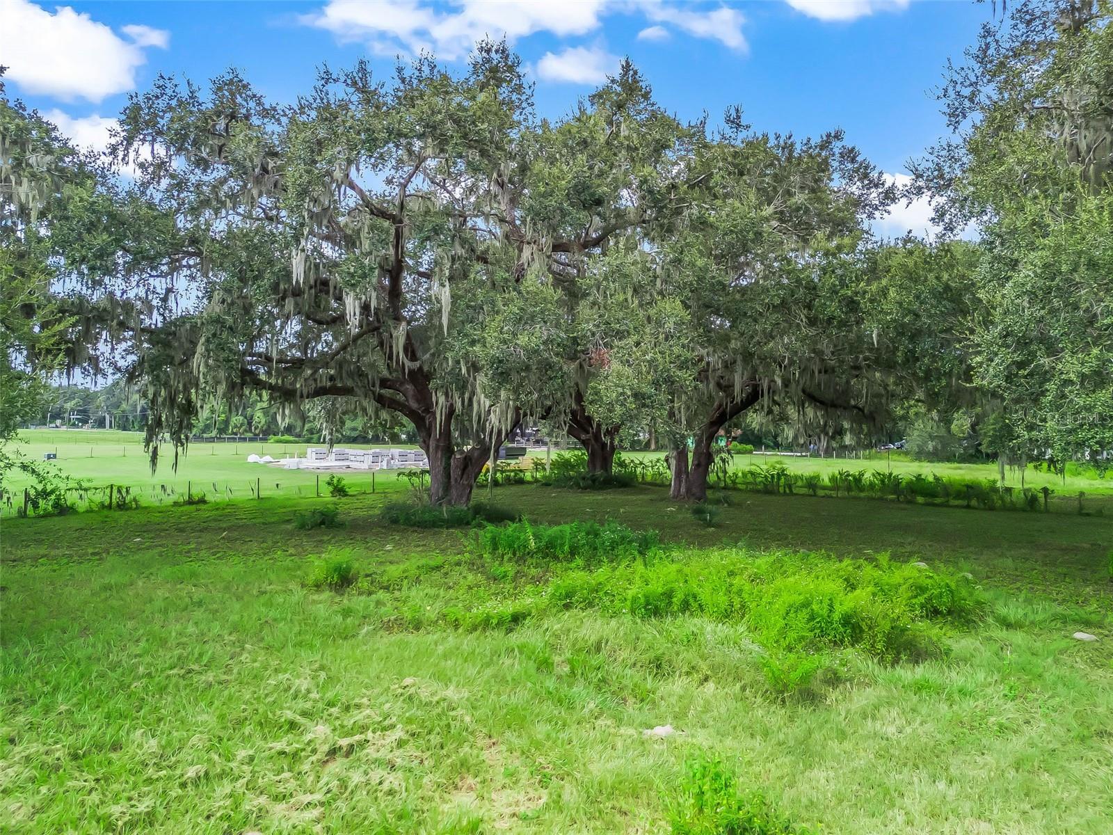 Image 11 of 11 For  C 476  