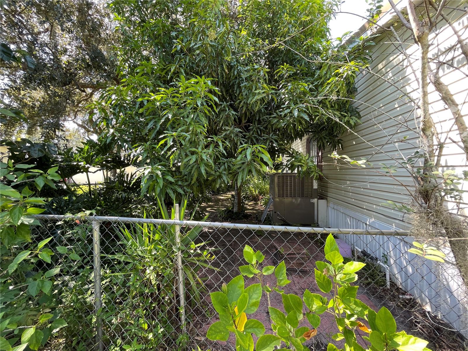 Image 12 of 55 For 14228 Mistletoe Way