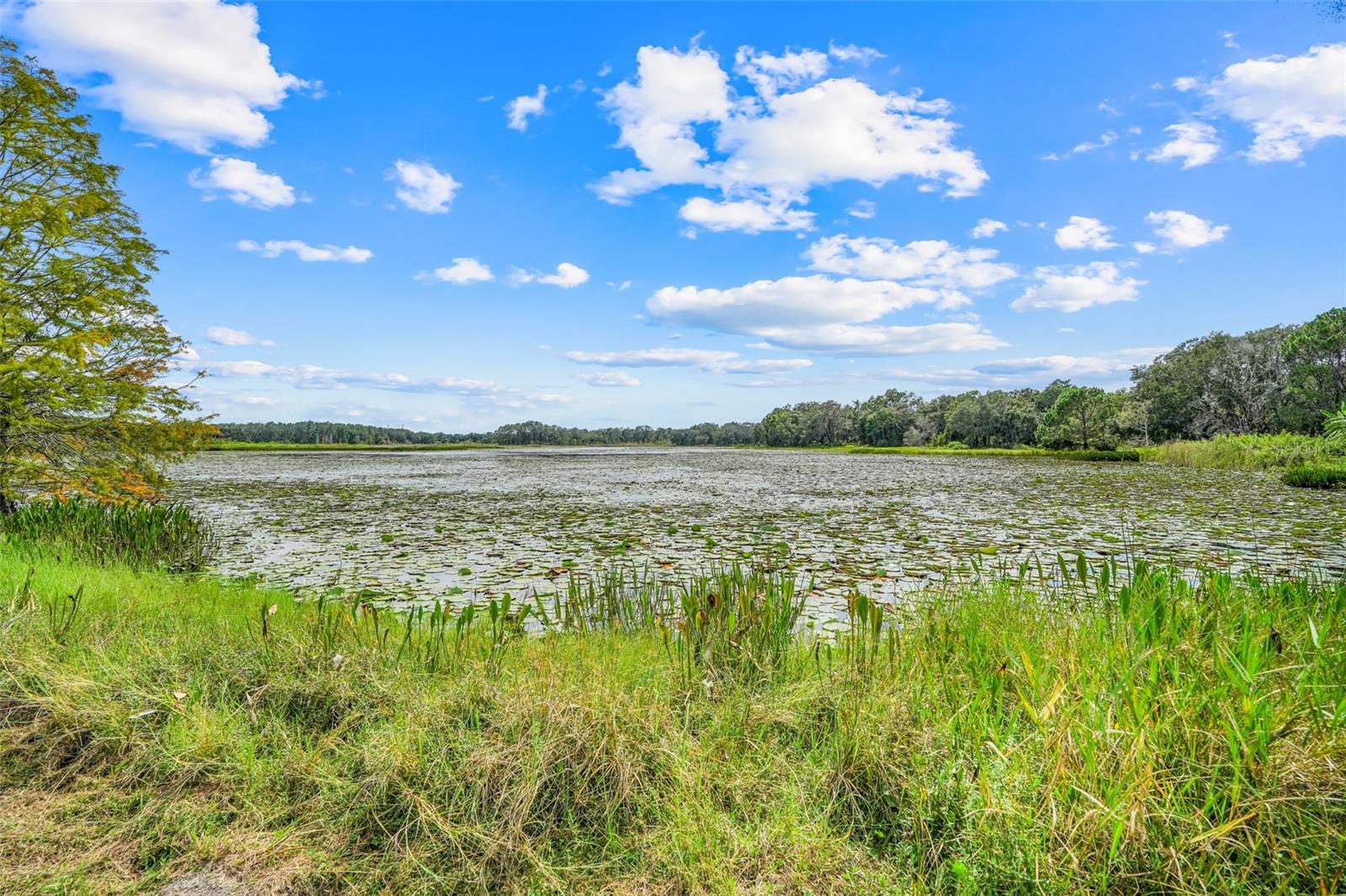 Image 29 of 36 For 1440 Selman Road