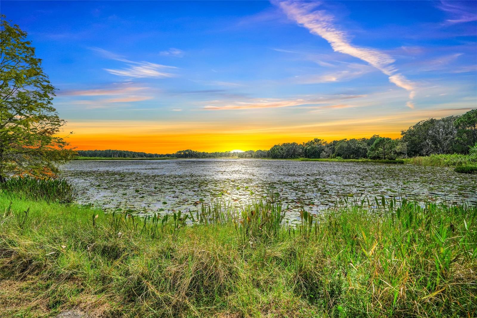 Image 30 of 36 For 1440 Selman Road