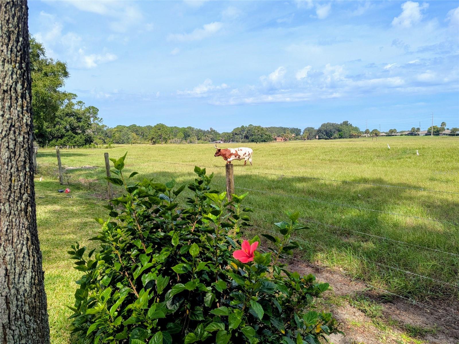 Image 7 of 37 For 3310 Manatee Road