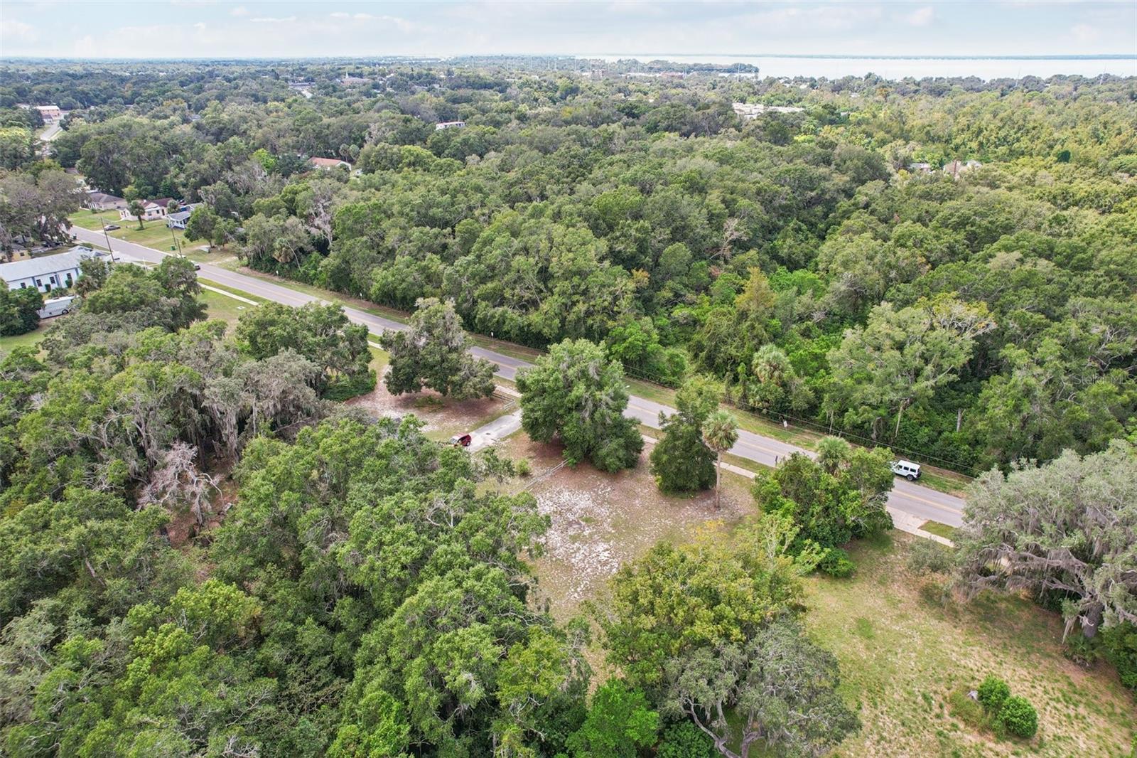 Image 11 of 16 For 847 Palmetto Street