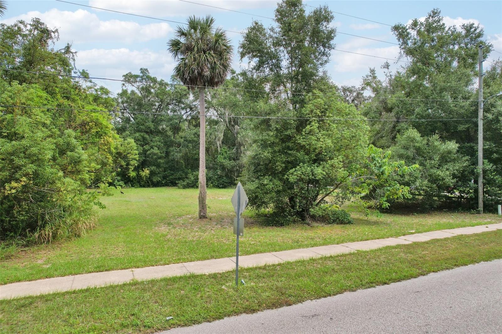 Image 2 of 16 For 847 Palmetto Street