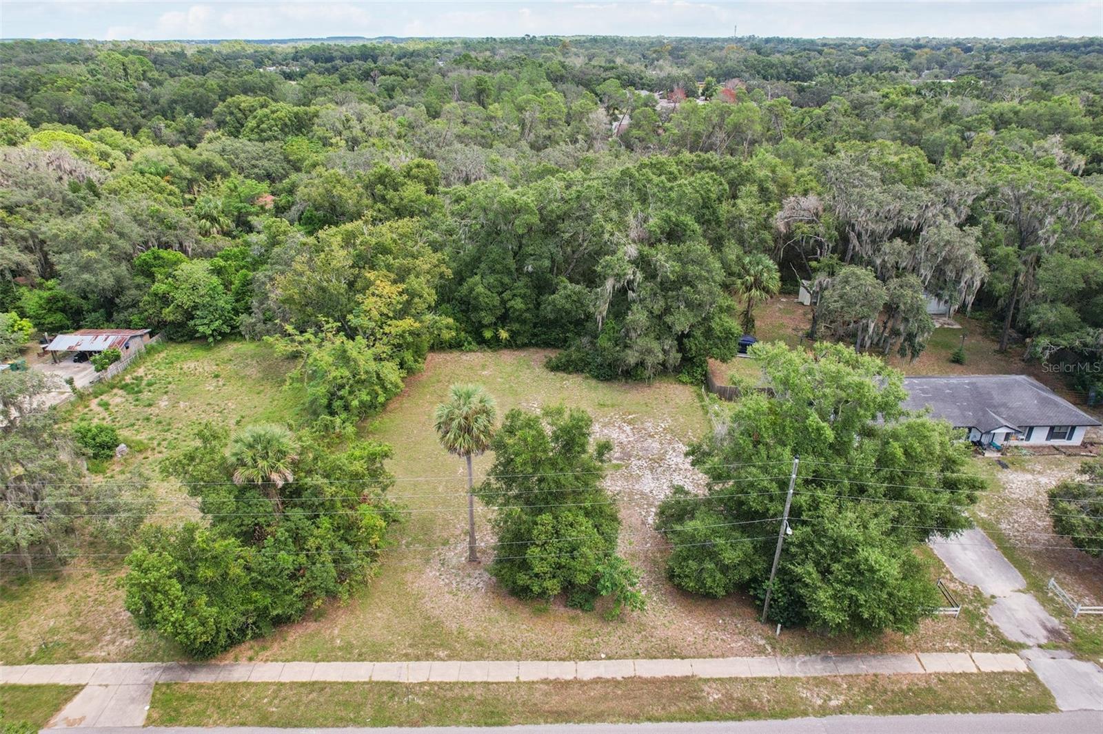Image 3 of 16 For 847 Palmetto Street