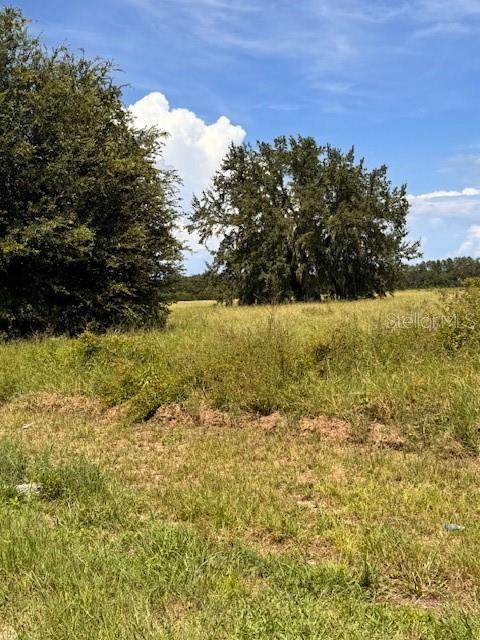 Image 10 of 10 For Haywood Worm Farm Road