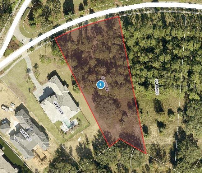 Listing Details for 15512 Pendio Drive, MONTVERDE, FL 34756