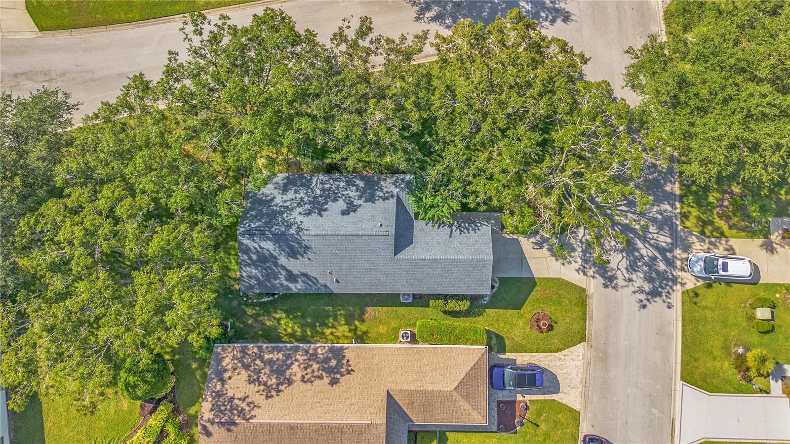 Image 30 of 39 For 25036 Cranes Roost Circle