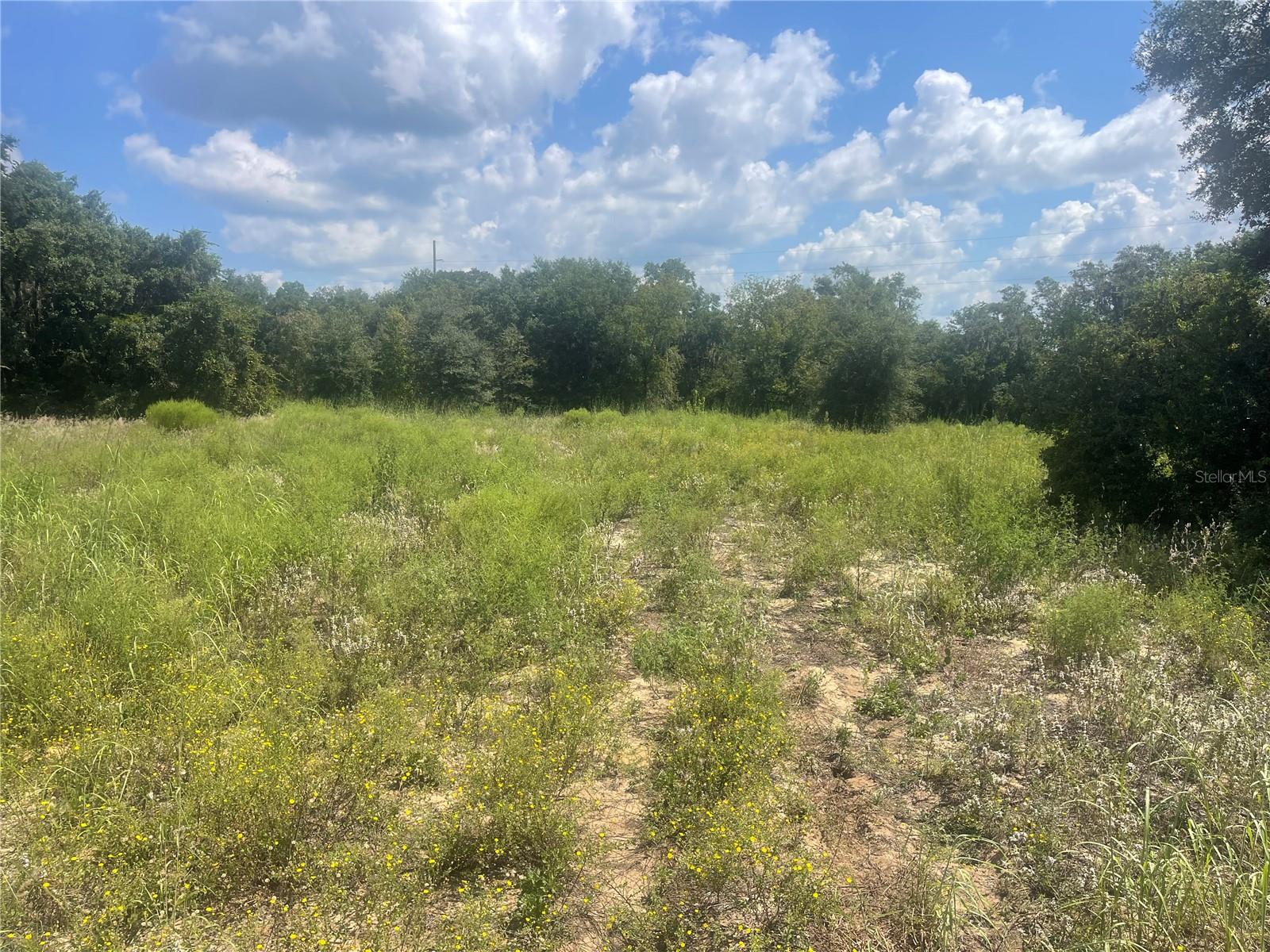 Details for Tbd Keene Road, UMATILLA, FL 32784