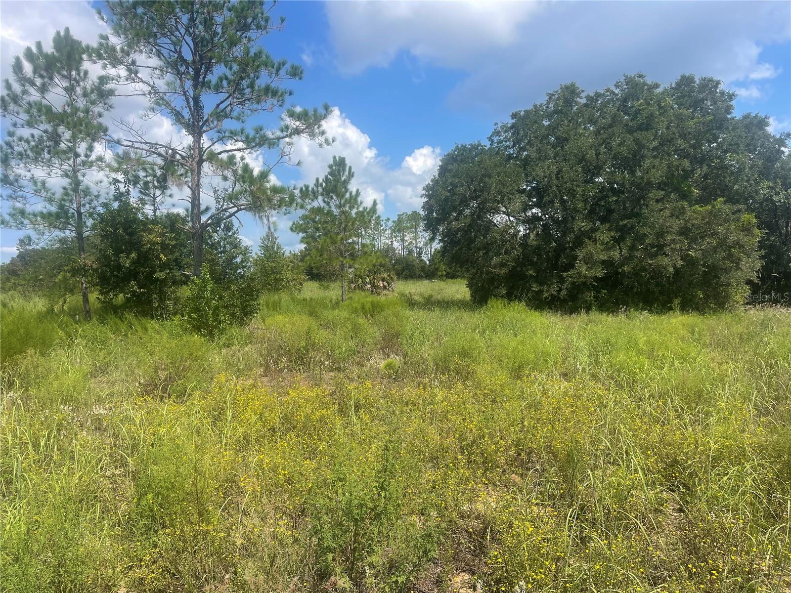 Image 2 of 3 For Tbd Keene Road