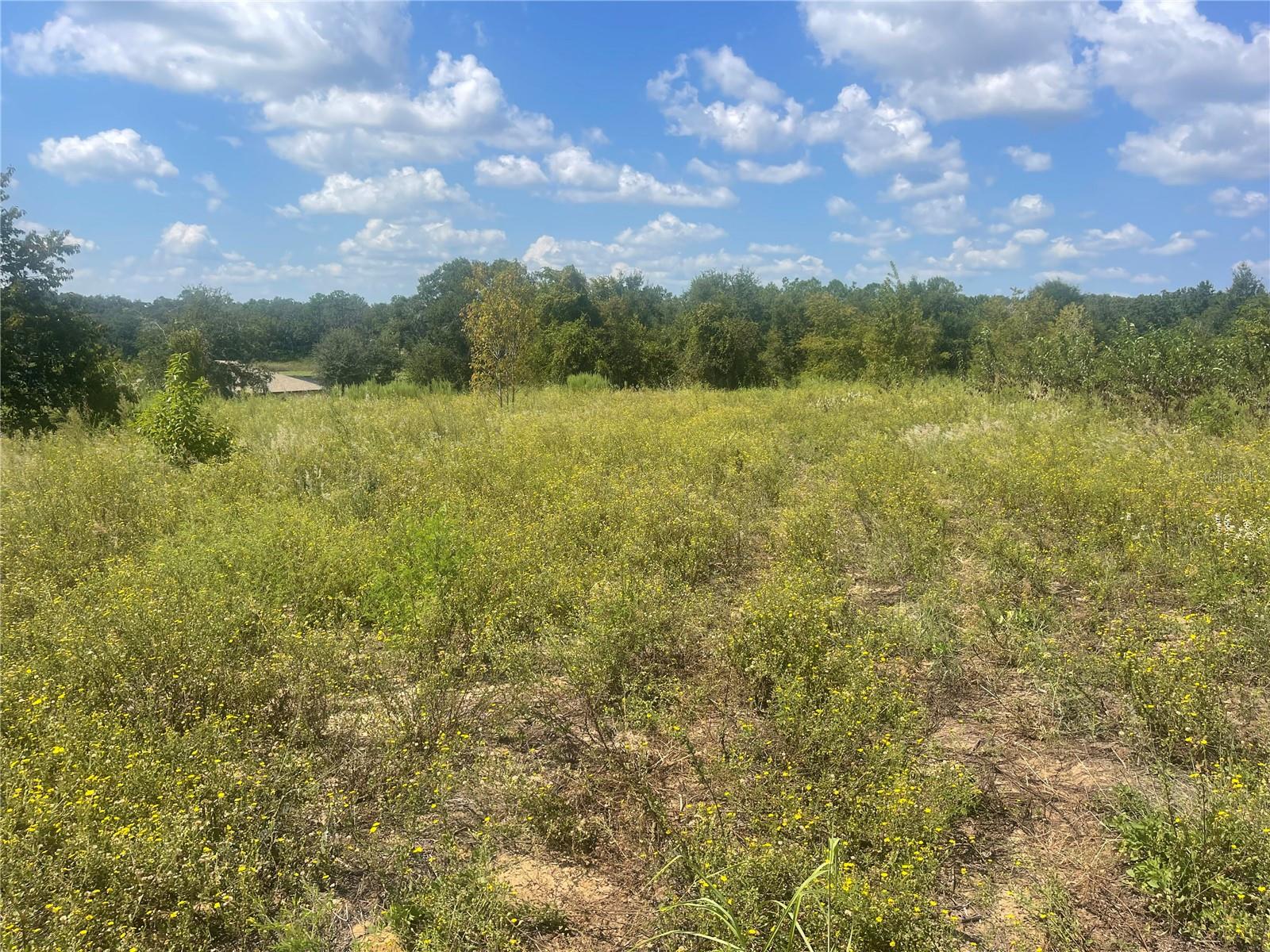 Image 3 of 3 For Tbd Keene Road