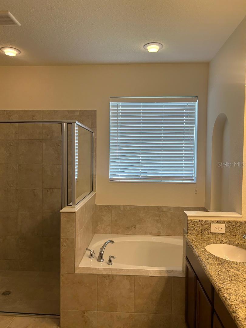 Image 8 of 11 For 557 Autumn Ash Drive