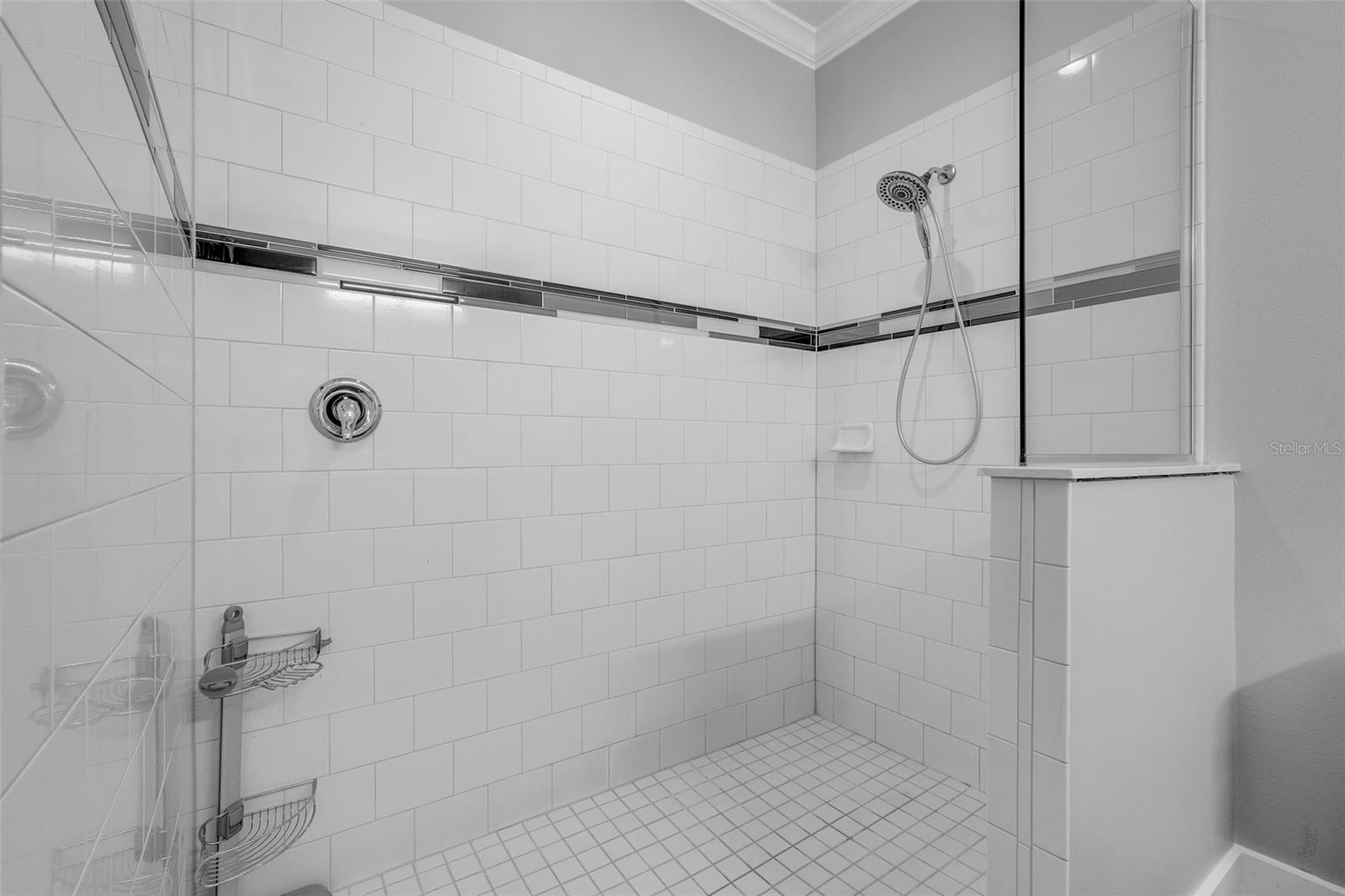 Image 30 of 64 For 313 Blue Cypress Drive