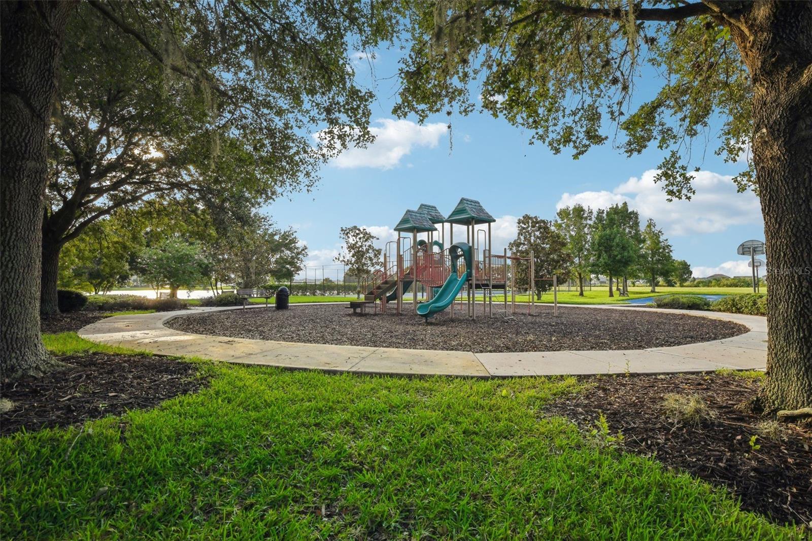 Image 58 of 64 For 313 Blue Cypress Drive