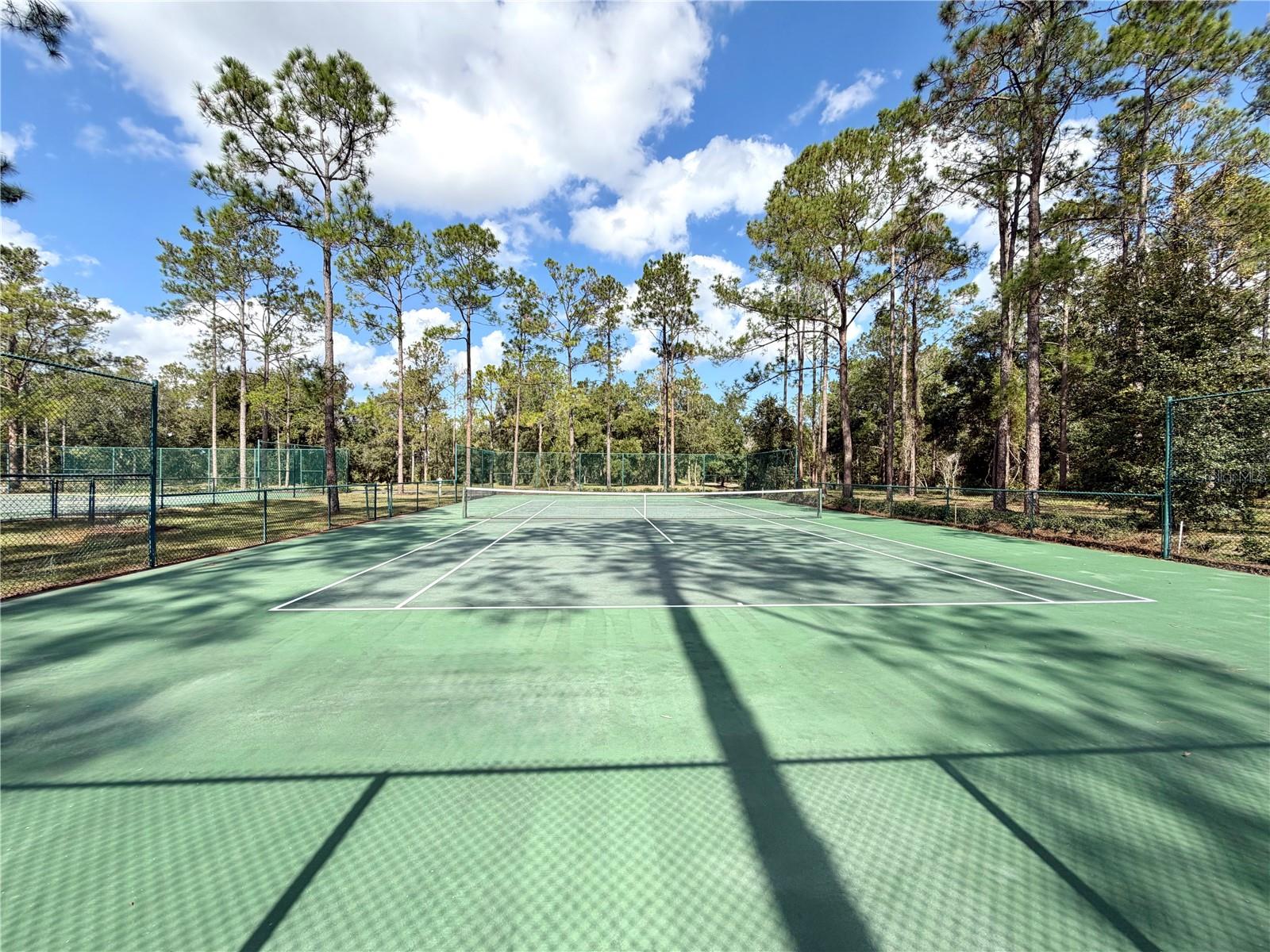 Image 10 of 21 For Bonsmara Drive