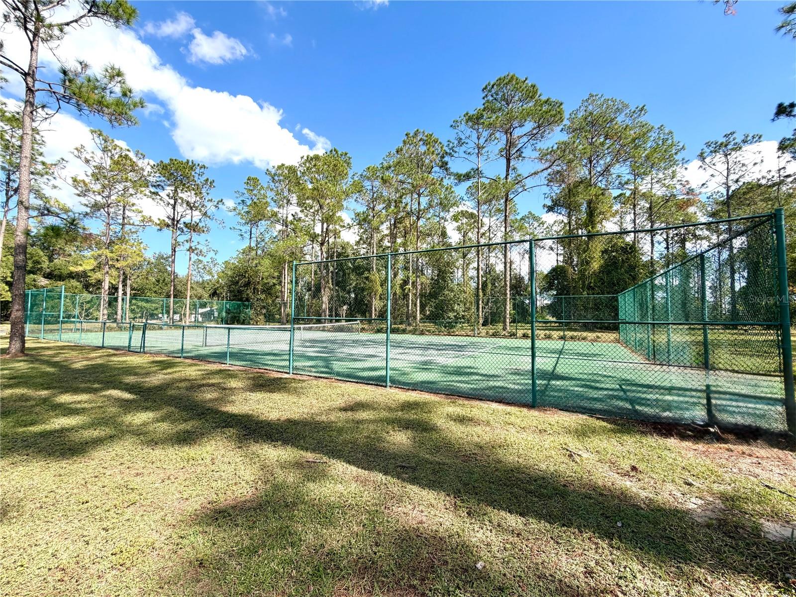 Image 11 of 21 For Bonsmara Drive