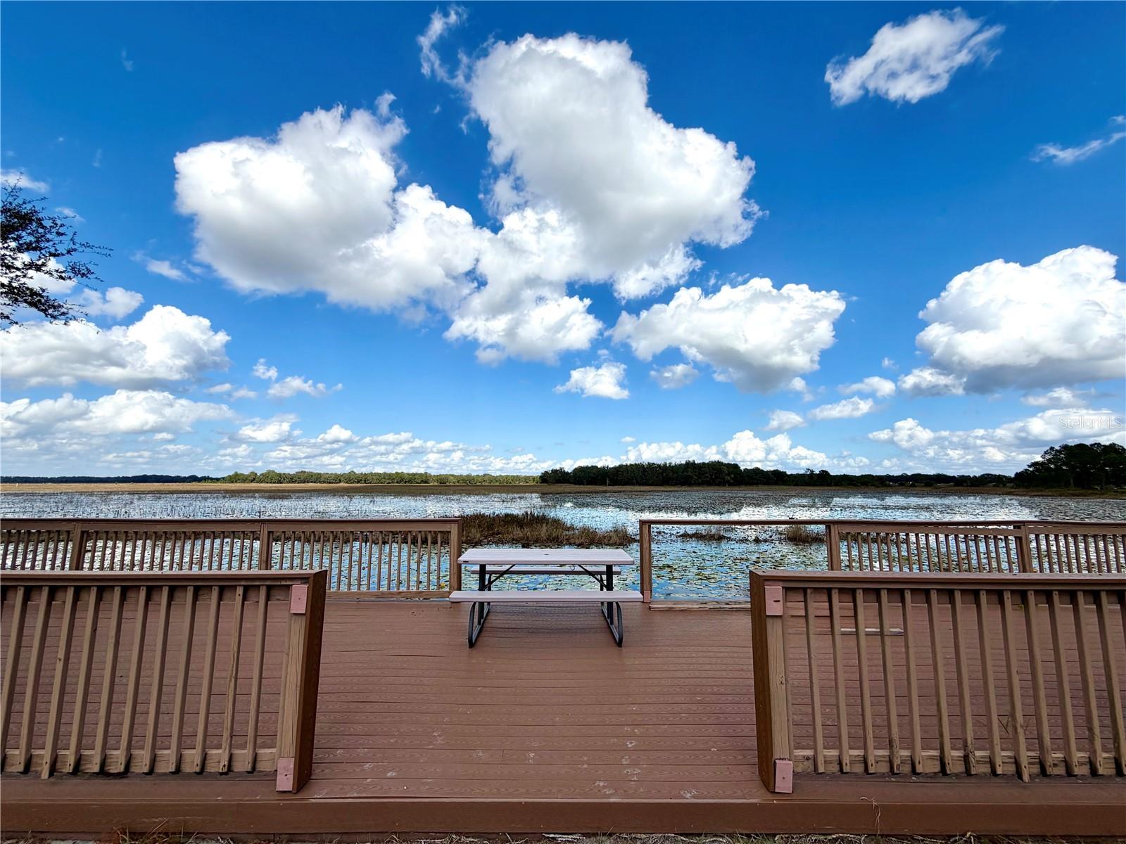 Image 13 of 21 For Bonsmara Drive