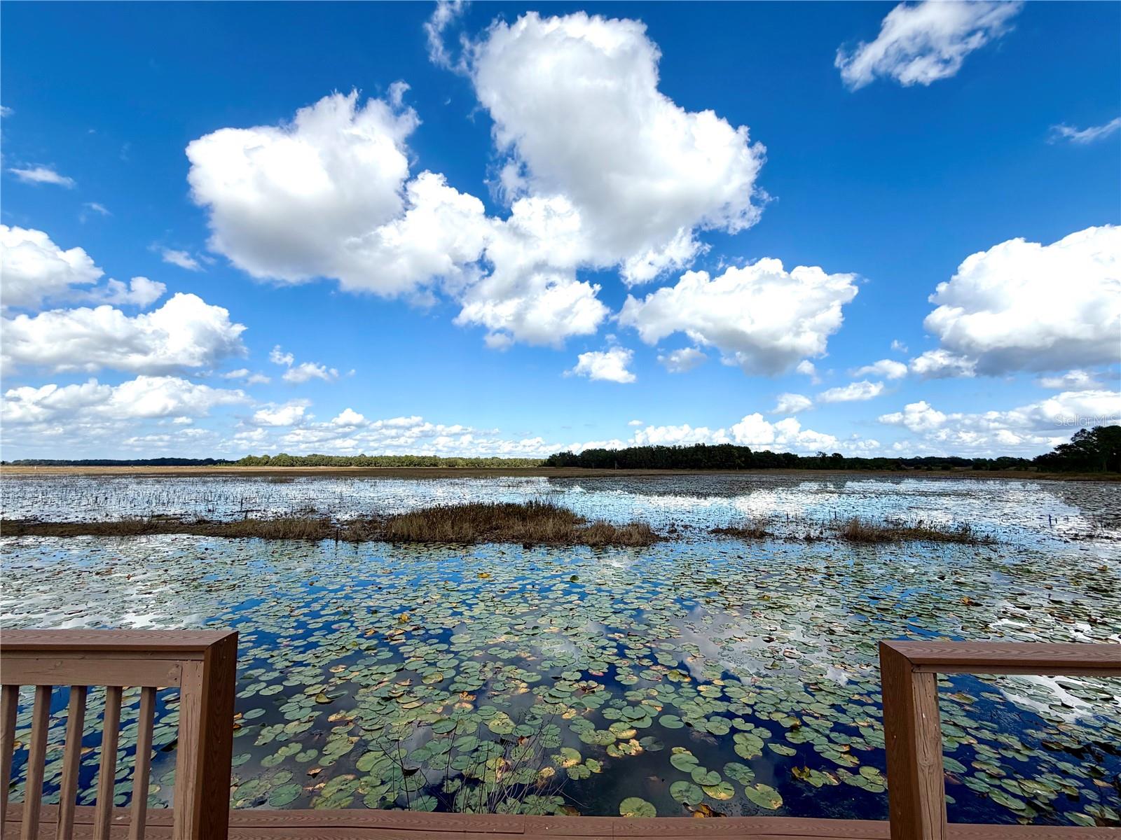 Image 14 of 21 For Bonsmara Drive