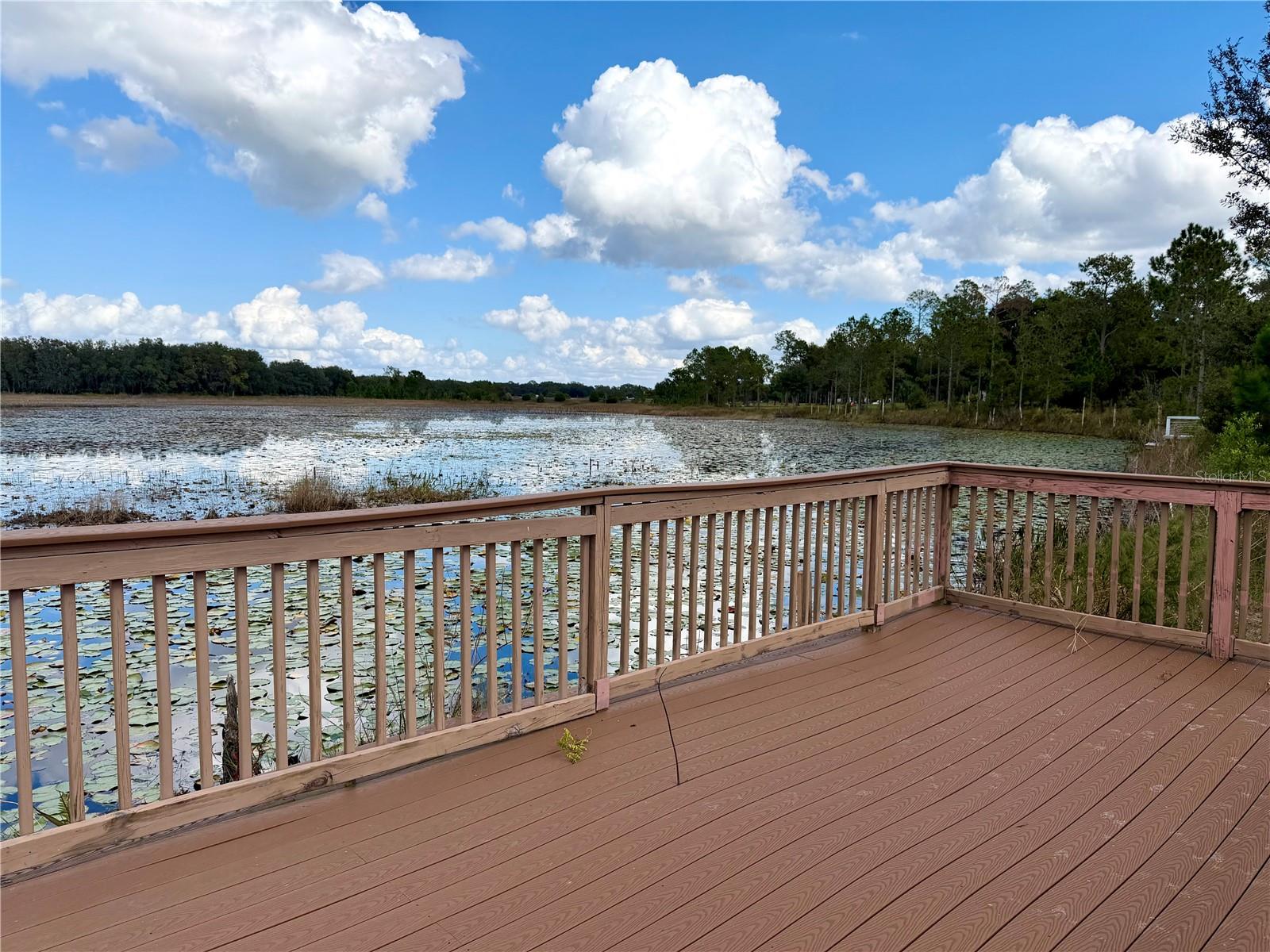 Image 15 of 21 For Bonsmara Drive