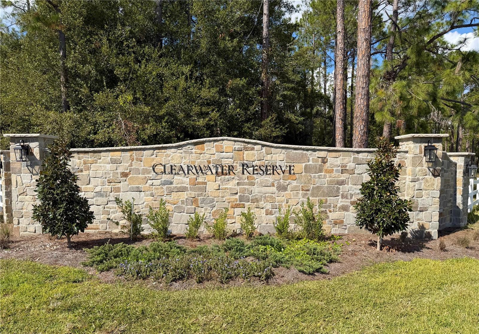 Image 6 of 21 For Bonsmara Drive