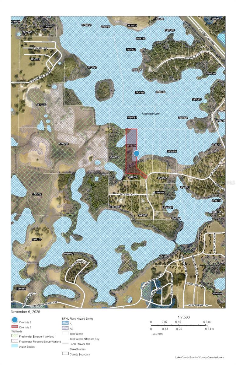 Image 9 of 21 For Bonsmara Drive