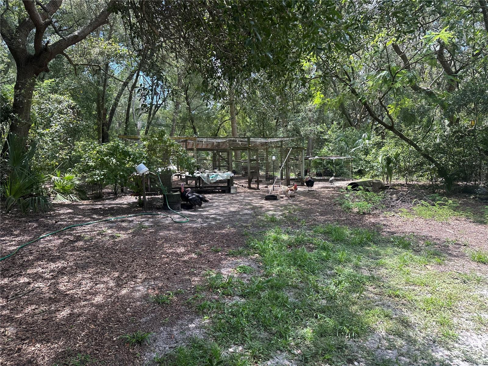 Image 20 of 30 For 40130 County Road 439