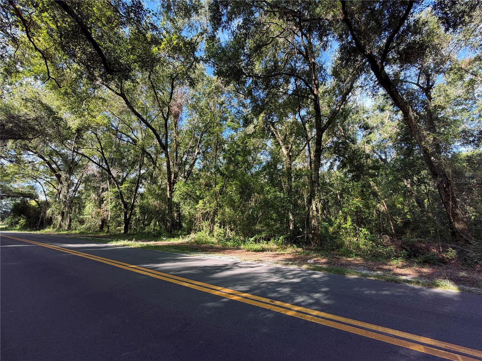 Details for Tbd S St Clair St, WILDWOOD, FL 34785