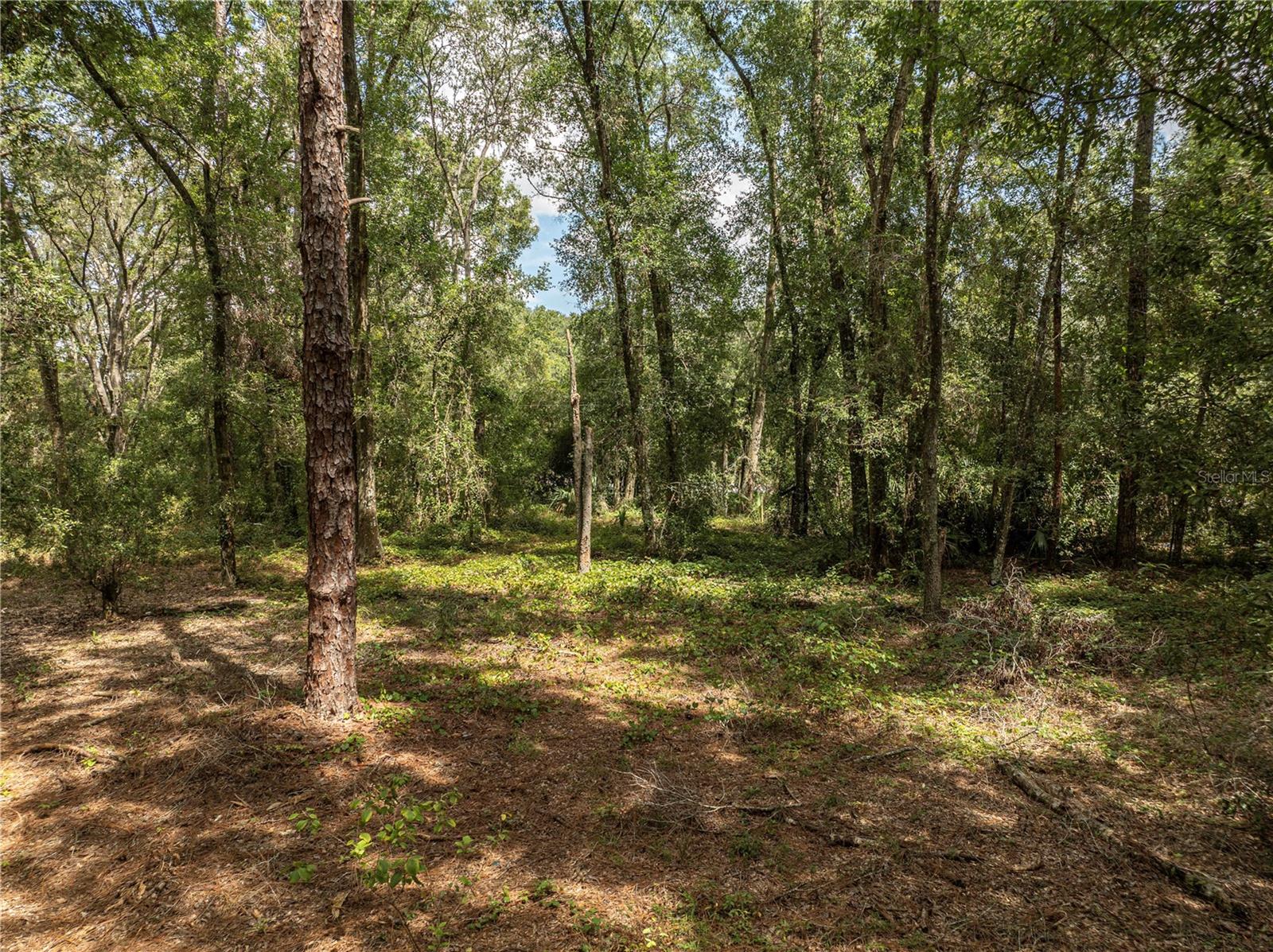 Image 13 of 19 For 2946 21st Avenue