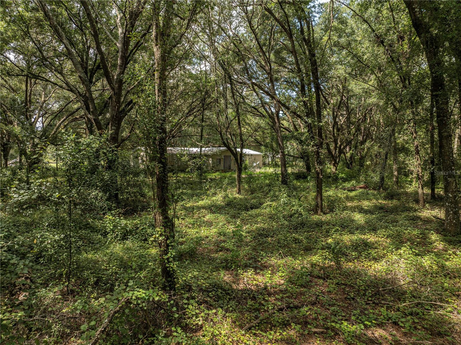 Image 14 of 19 For 2946 21st Avenue