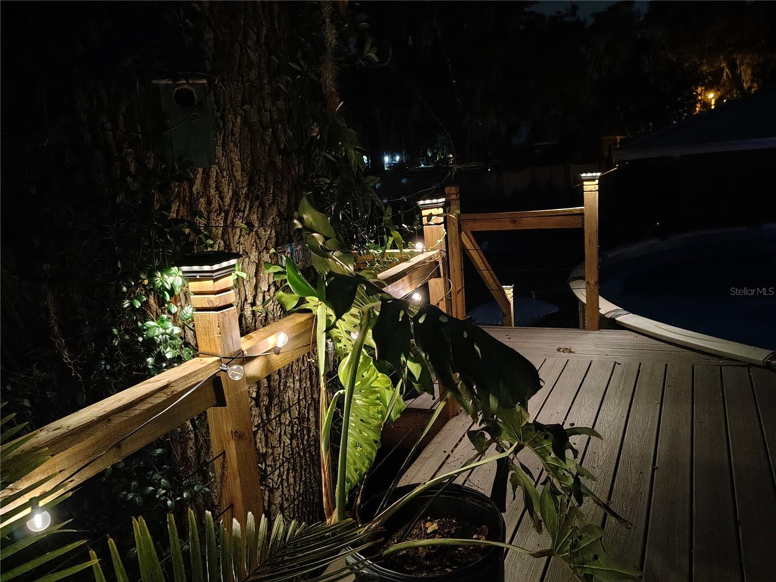 Image 15 of 42 For 1208 Cr 463b