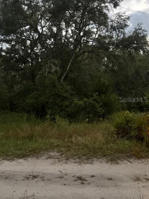 Image 10 of 13 For 4547 128th Place