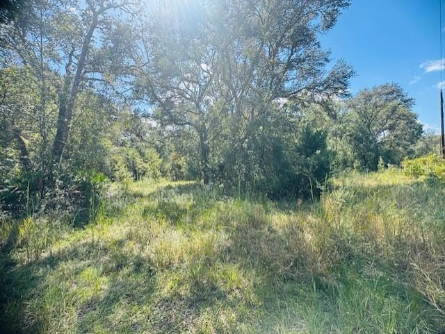 Image 11 of 13 For 4547 128th Place